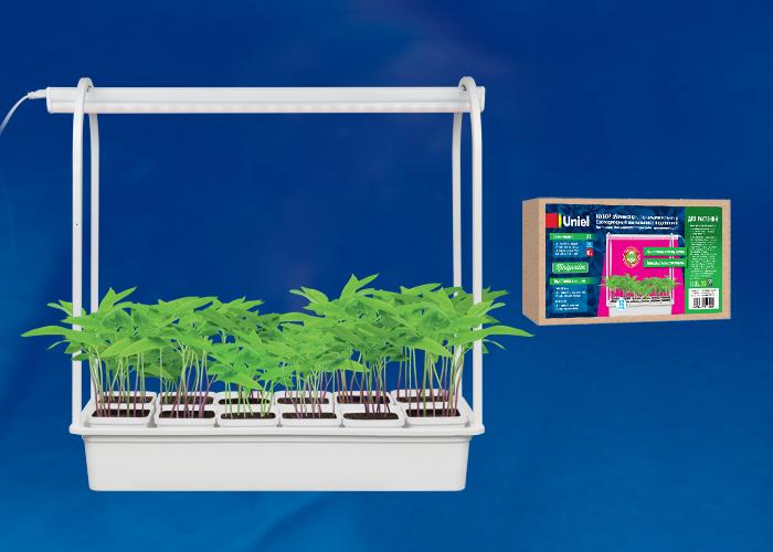 Светодиодный светильник для растений (UL-00004149) Uniel Minigarden ULT-P34-10W/SPSB IP40 White 12