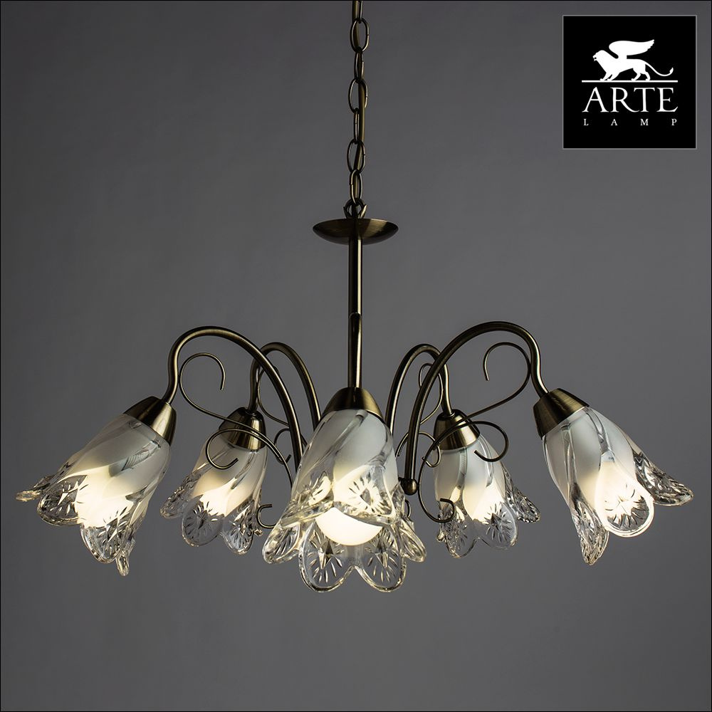 Подвесная люстра Arte Lamp 2 A6273LM-5AB