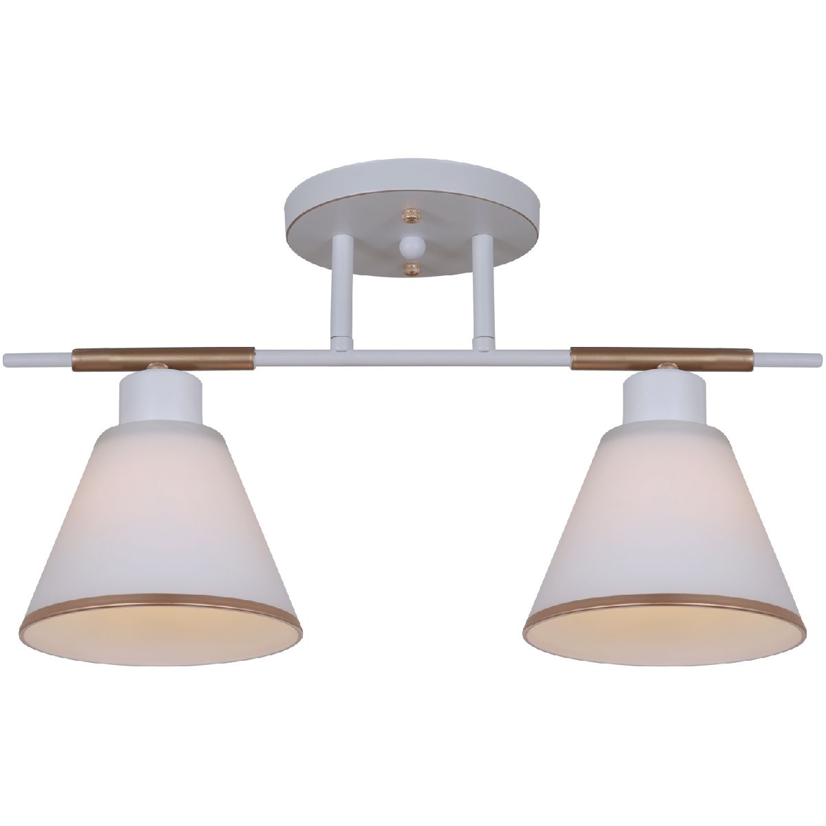 Потолочный светильник Reluce 07594-0.3-02 WG