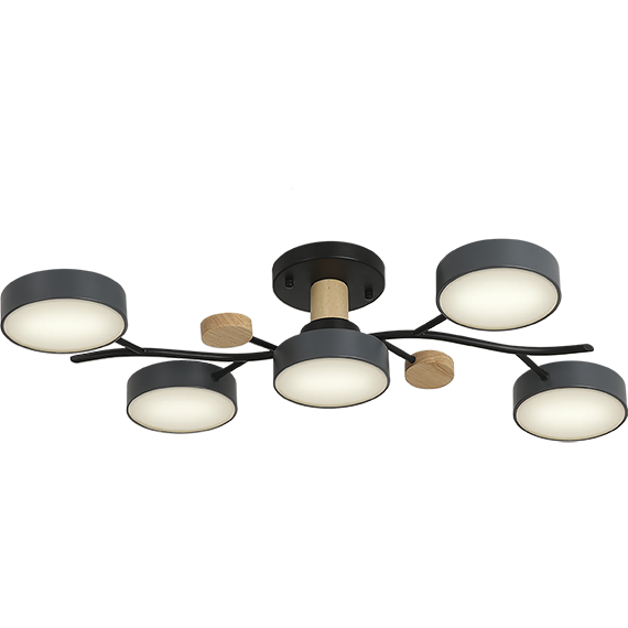 Потолочная люстра Ritter Scandia 52080 1