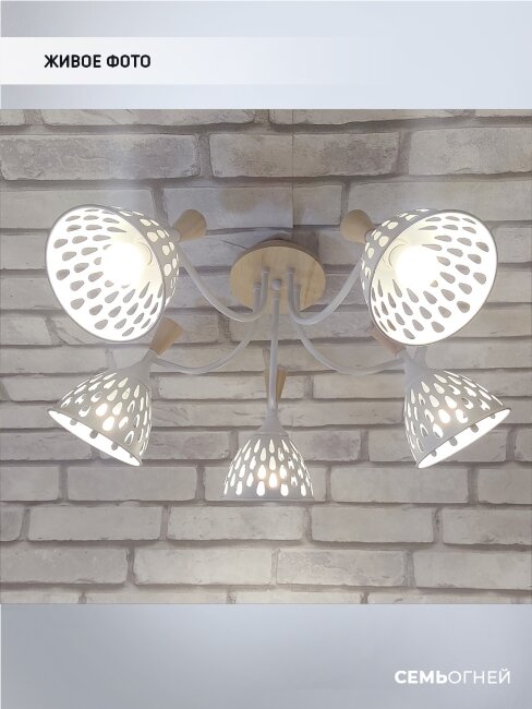 Потолочная люстра Wedo Light Gudi 66656.01.09.05