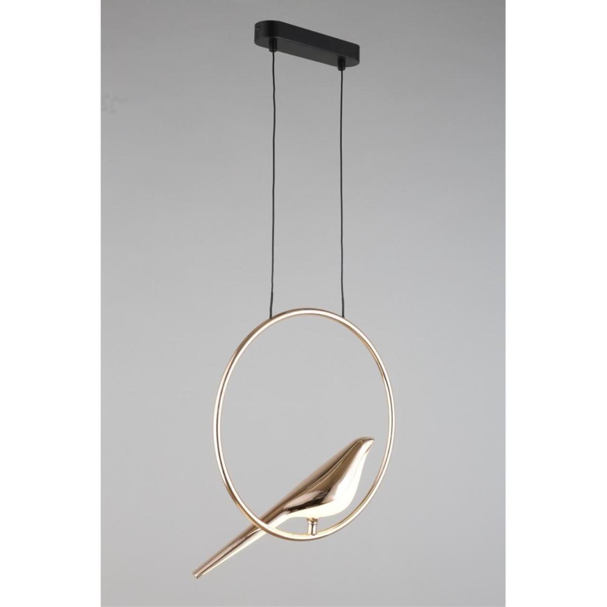 Подвесной светодиодный светильник Aployt Astor APL.822.06.10