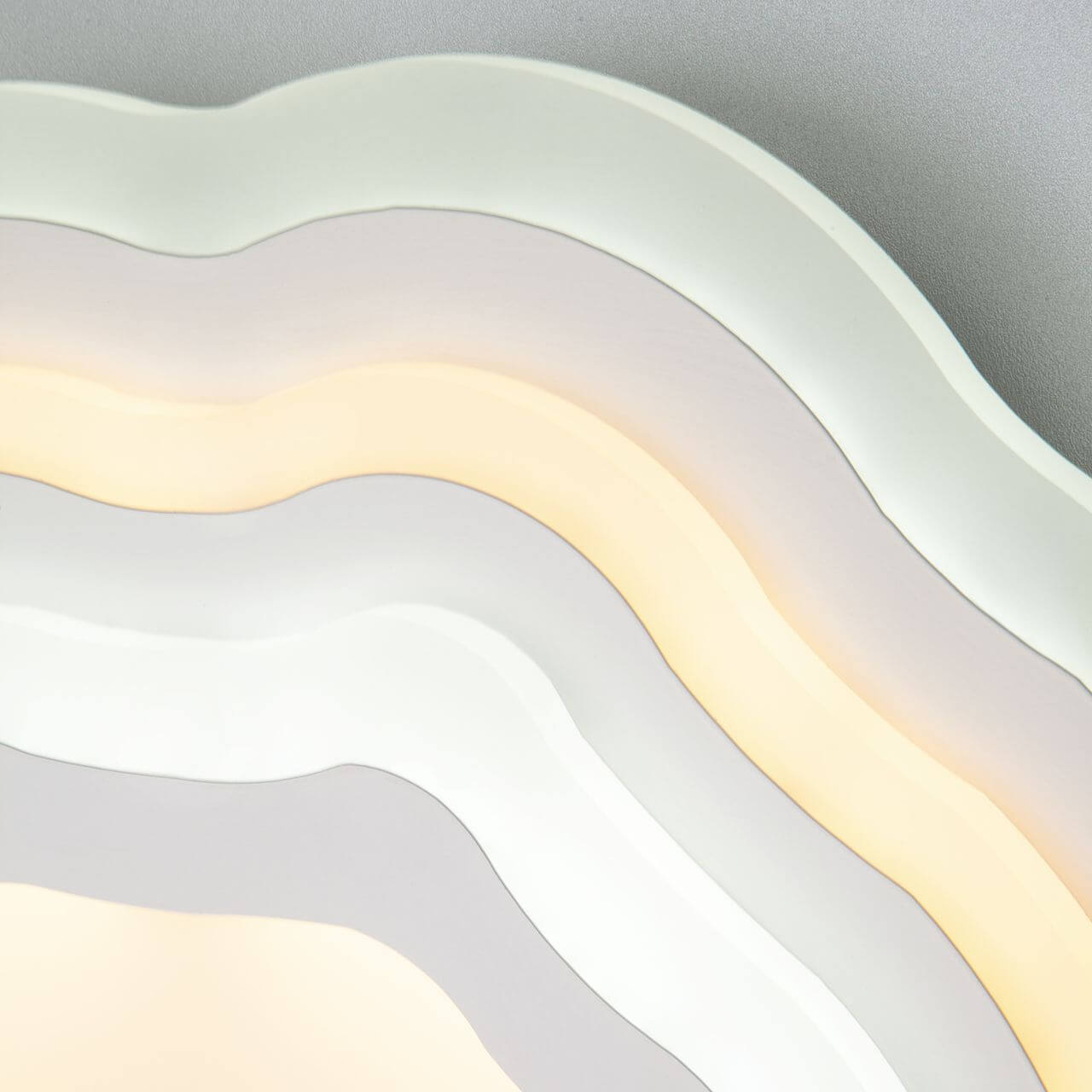 Потолочный светодиодный светильник Eurosvet Siluet 90119/1