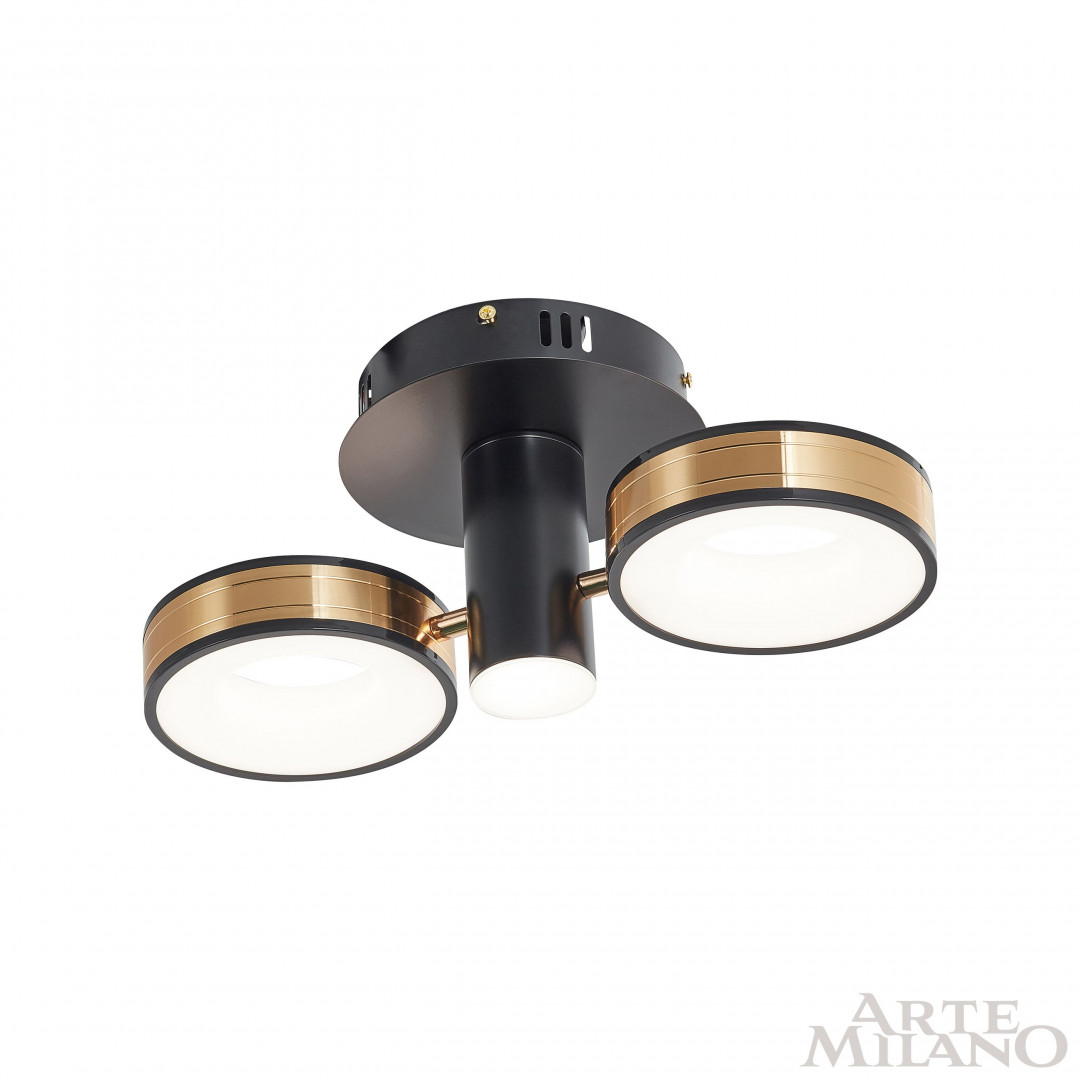 Потолочный светильник Arte Milano 271040/2R BK/GD