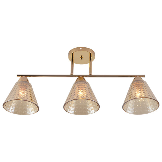 Потолочная люстра Seven Fires Fabius SF3391/3C-FGD-CL