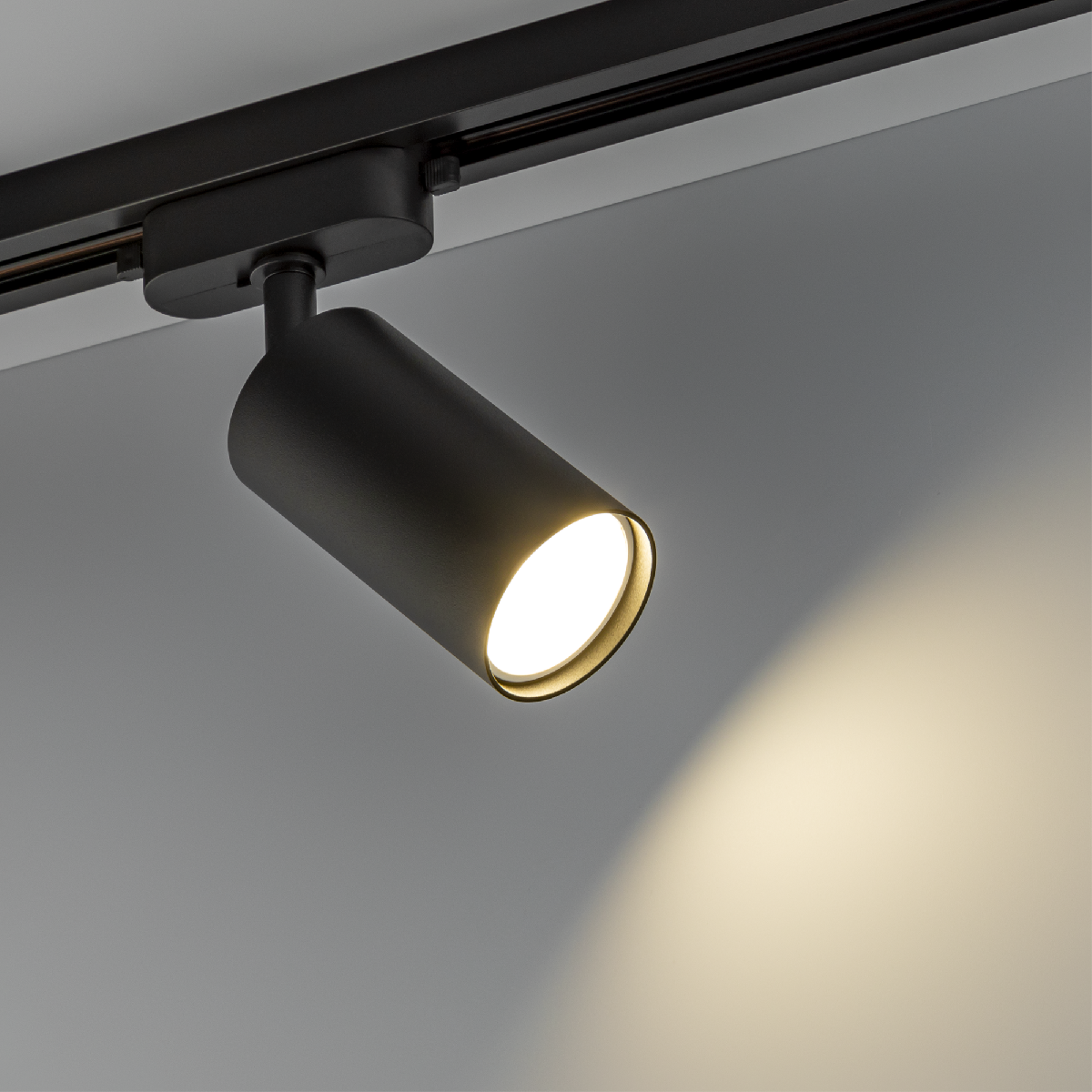 Трековый однофазный светильник Ritter Artline 59876 7