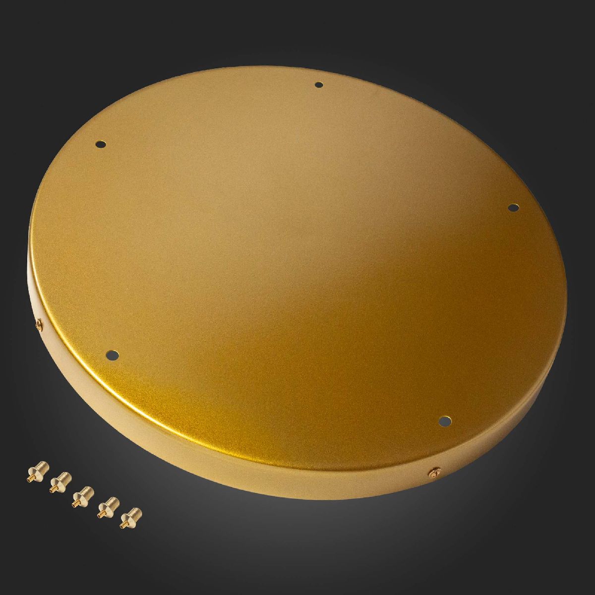 Потолочное крепление на 5 ламп ST Luce SL001.203.05