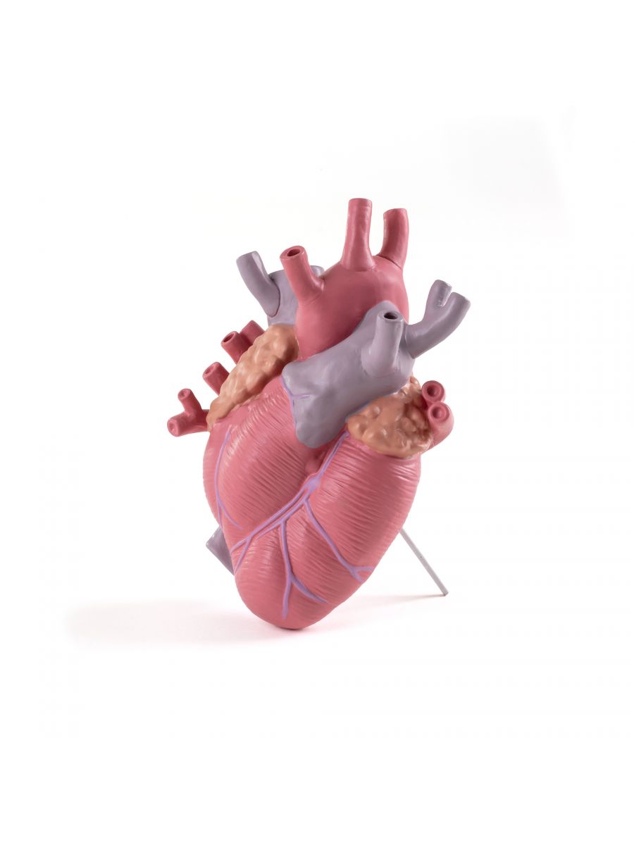 Ваза Seletti Love in Bloom 09923