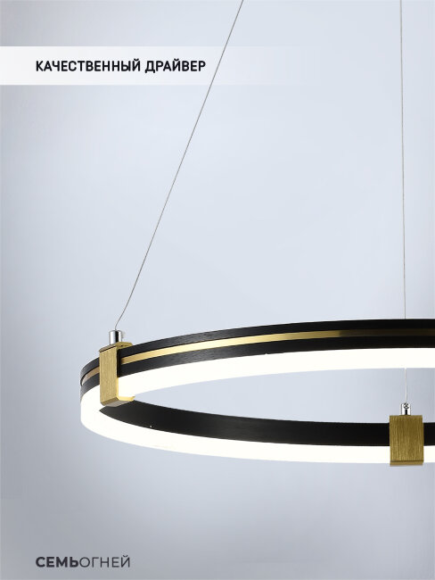 Подвесная люстра Seven Fires Luken SF5026/1P-BK-GD