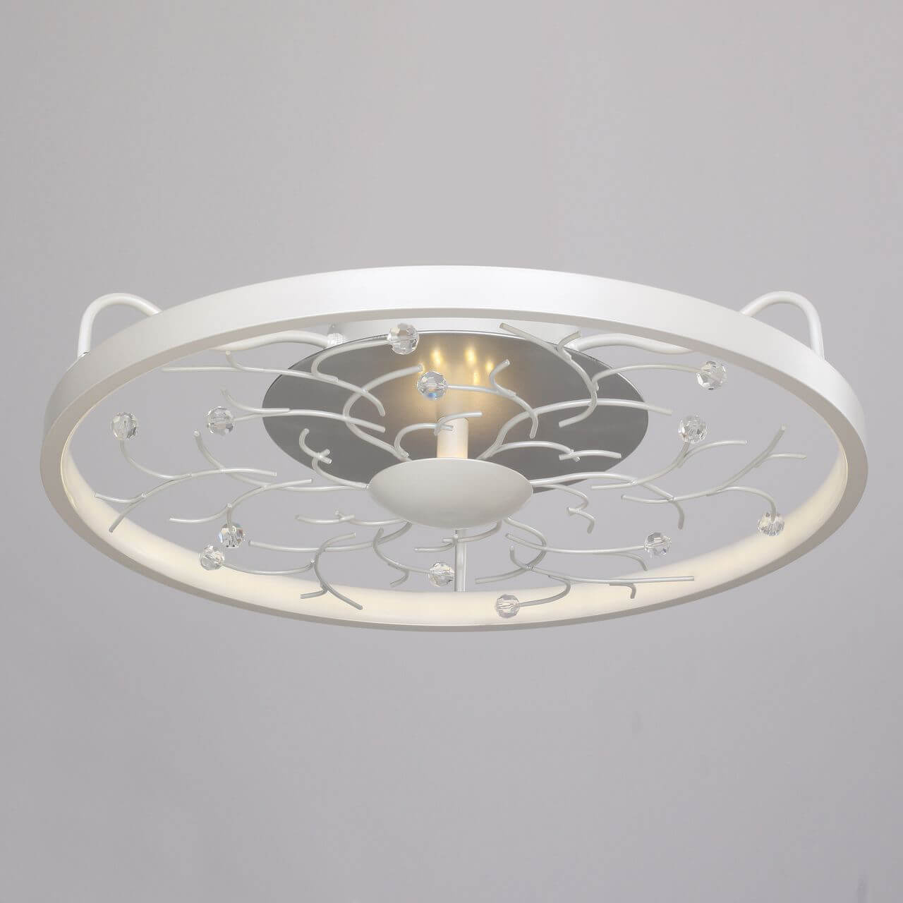 Потолочный светодиодный светильник Favourite Waltz 2533-4C