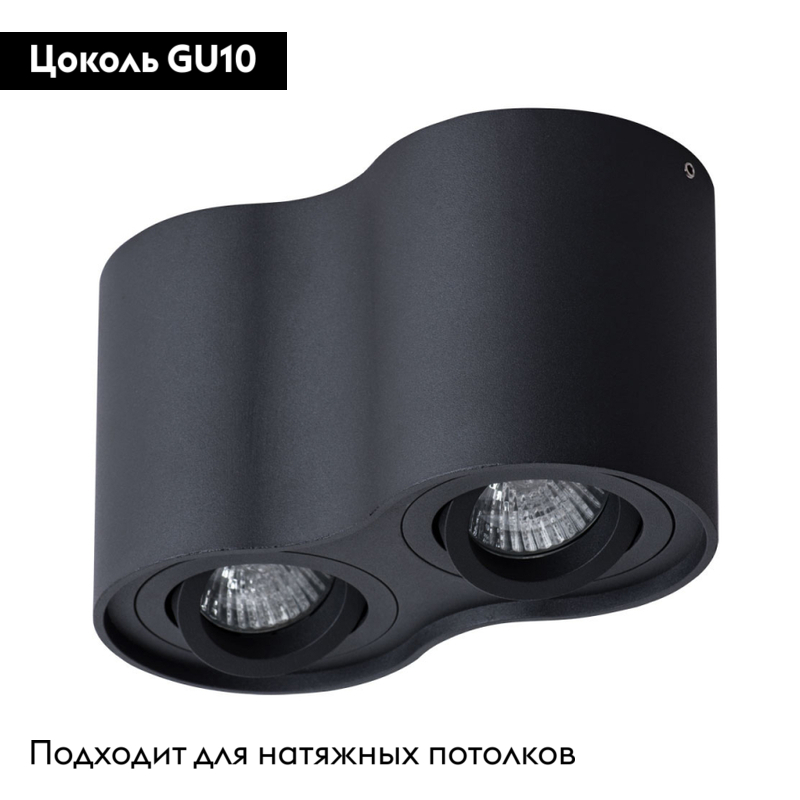 Потолочный светильник Arte Lamp Falcon A5645PL-2BK