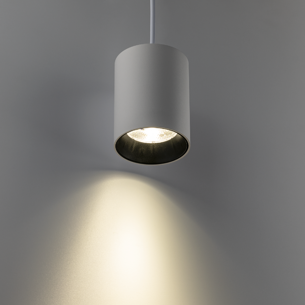 Трековый однофазный светильник Ritter Artline 59702 9