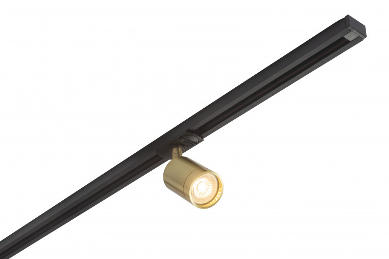 Трековый светильник Denkirs DK620 DK6201-BS