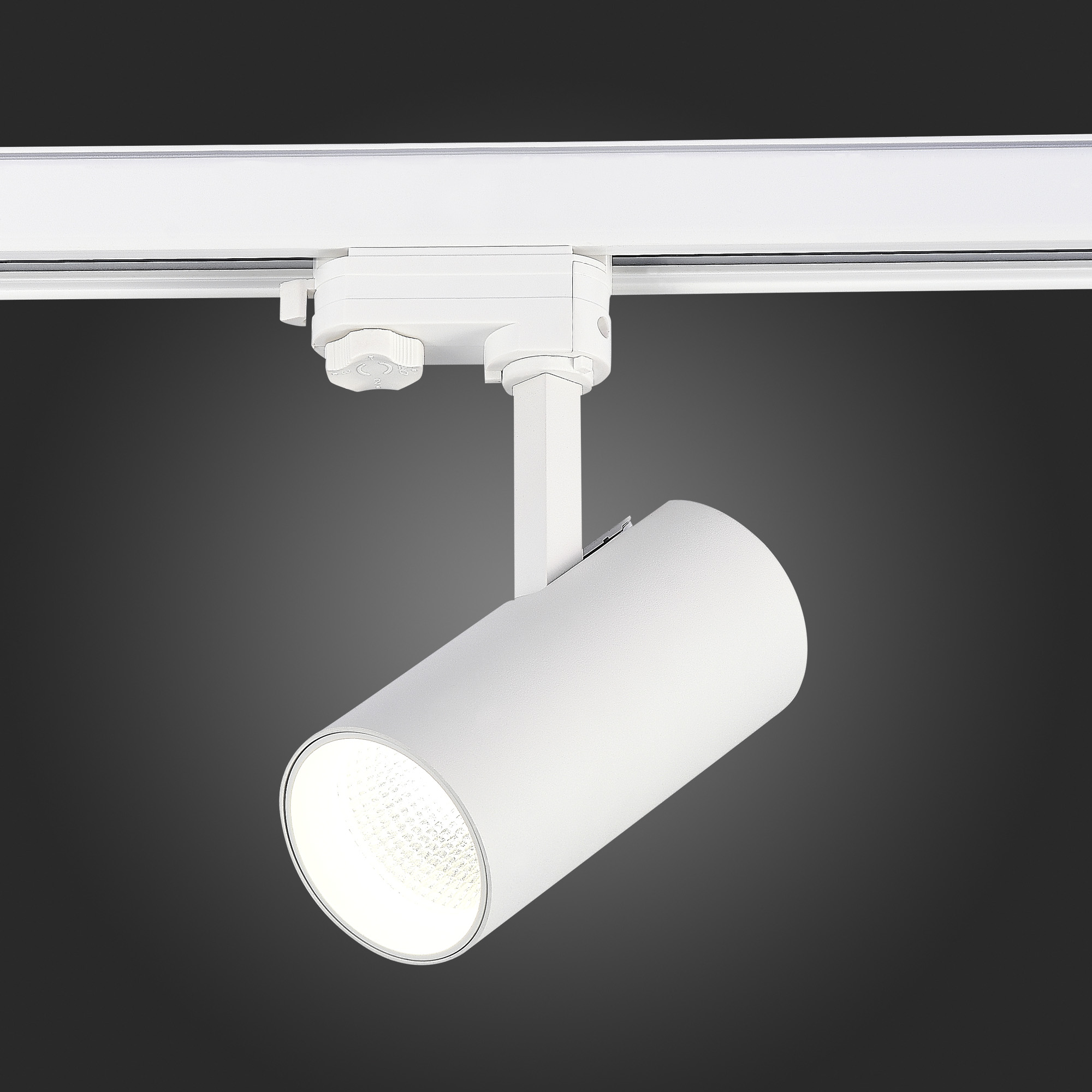 Трековый трехфазный светильник ST Luce ST661.546.20