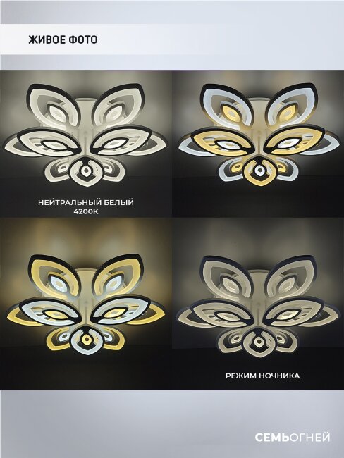 Потолочная люстра Wedo Light Crotone 75334.01.09.09RGB