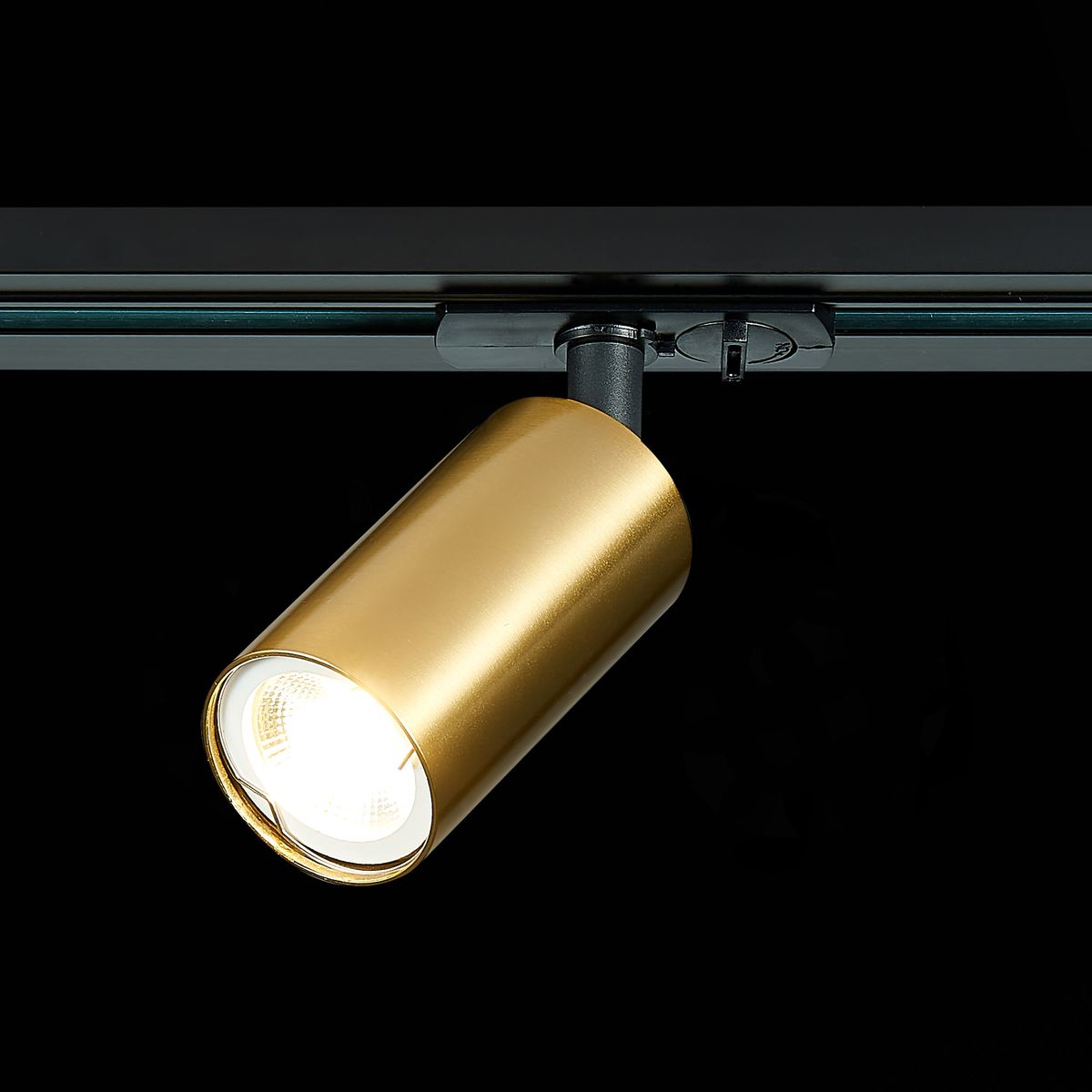 Трековый светильник ST Luce ST300 ST300.206.01