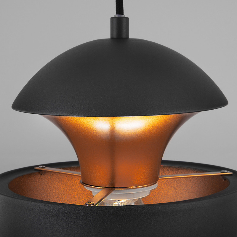 Подвесной светильник Eurosvet 50170/1 черный