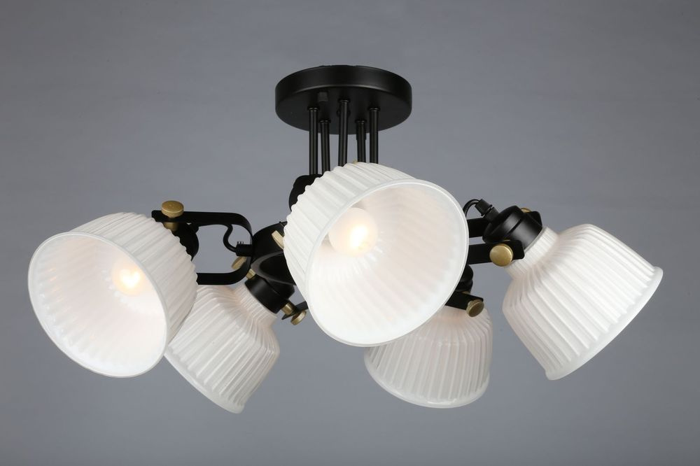 Потолочная люстра Omnilux OML-28207-05