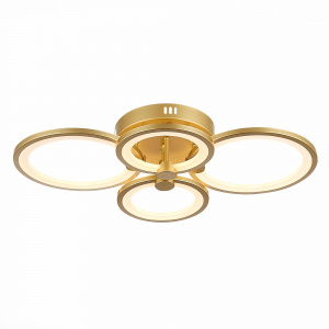 Потолочный светодиодный светильник Evoluce Intensity SLE900022-04