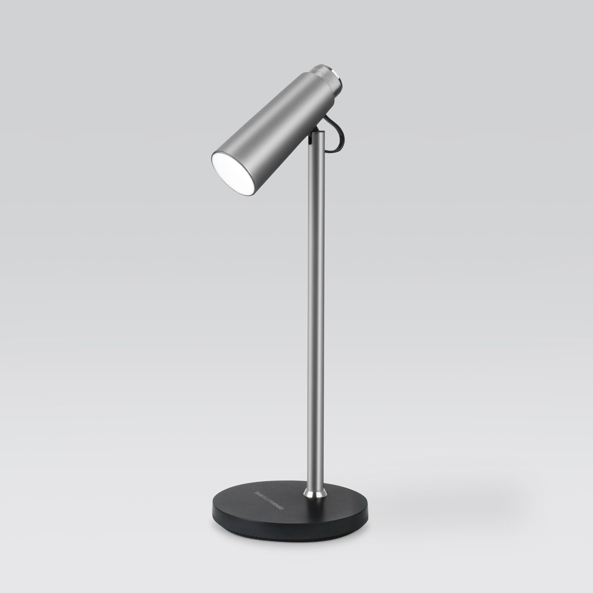 Настольная лампа Elektrostandard Joel серебро/хром TL70190 4690389018114