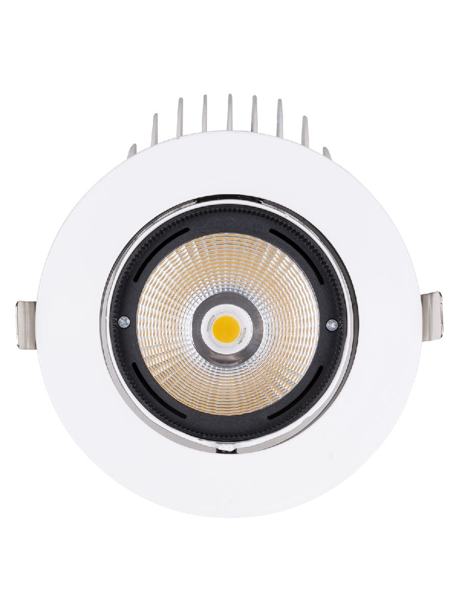 Встраиваемый светодиодный светильник TDM Electric Акцент-1DSL-01-040-NW SQ0369-0405