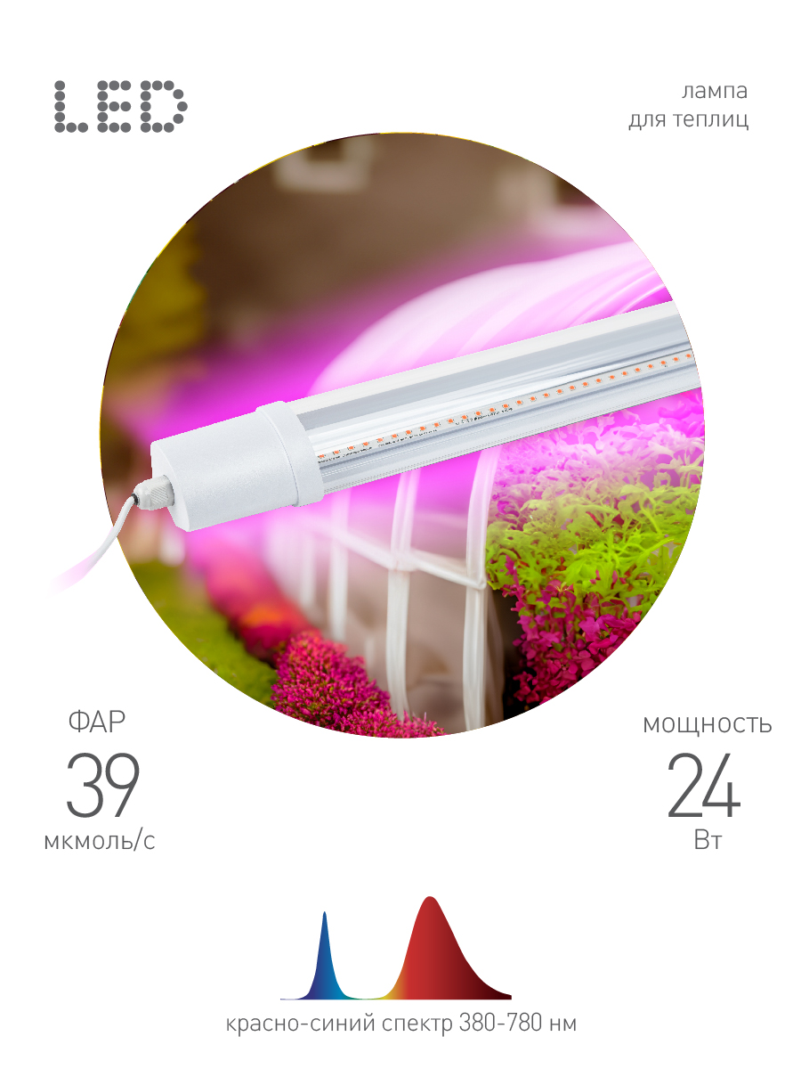 Светильник для растений Эра FITO-24W-RB-N Б0061425