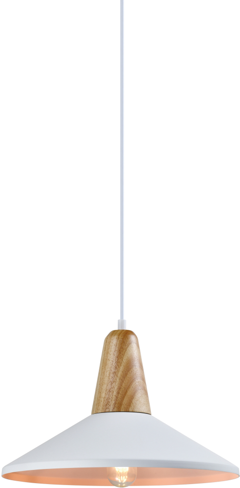 Подвесной светильник Moderli Luce V1570-1P