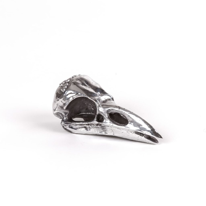 Статуэтка Bird Skull Seletti Wunderkammer 10895