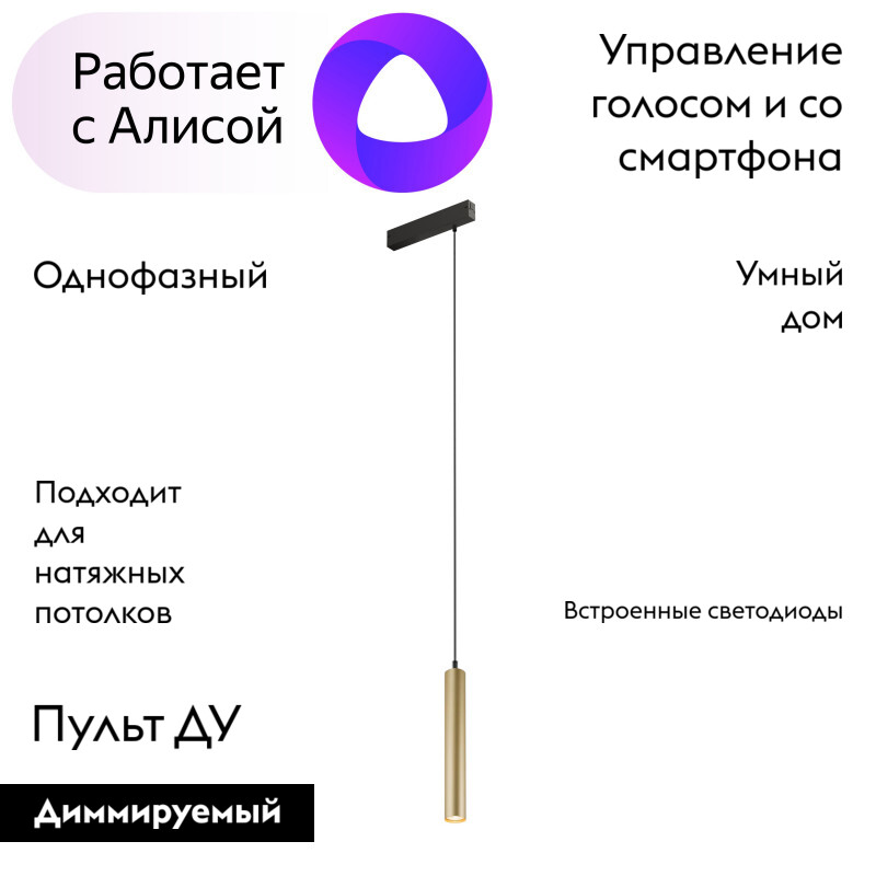 Трековый светильник Denkirs Smart DK8008-BG