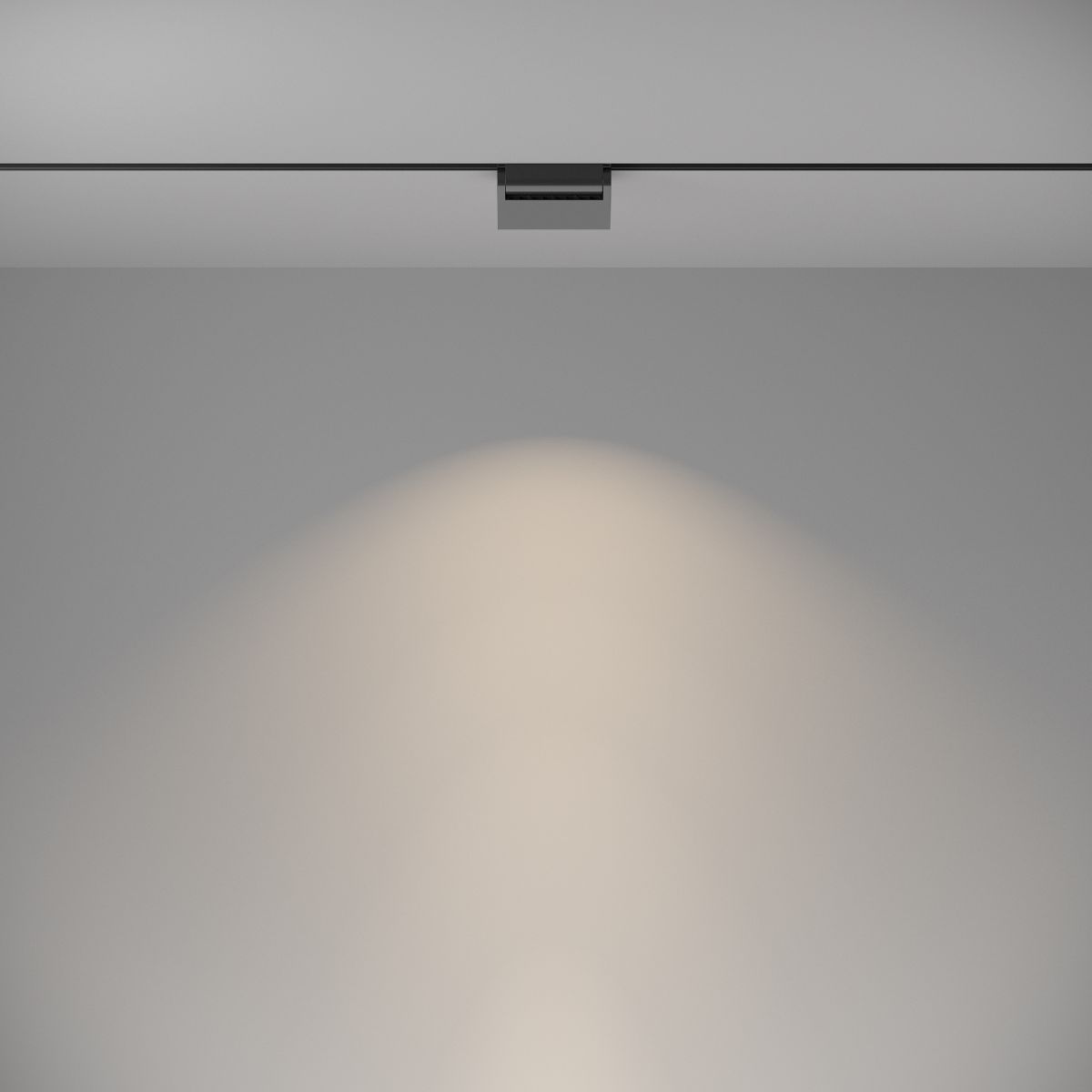 Трековый светильник Maytoni Technical Basis Rot TR075-2-10W4K-B