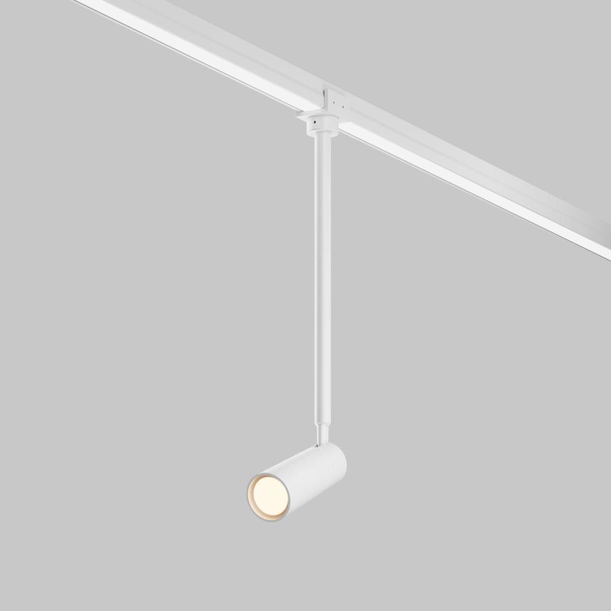 Уличный трековый светильник потолочный Maytoni Focus Led Elasity IP O-TR01-2-P-8WW3K