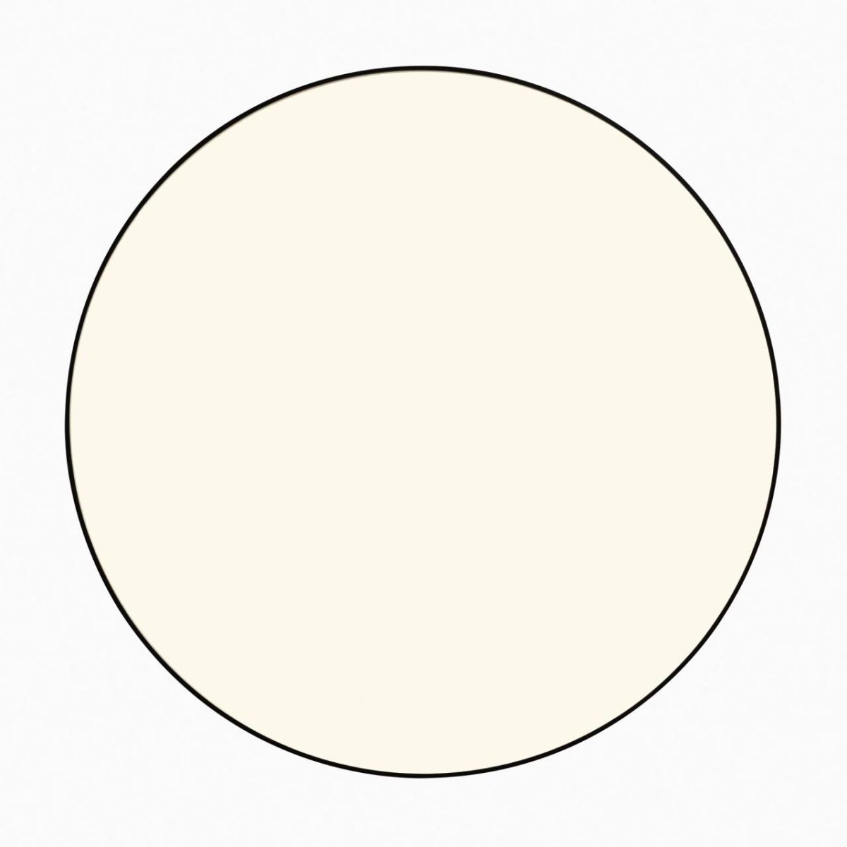 Накладной светильник Citilux Bart CL755391