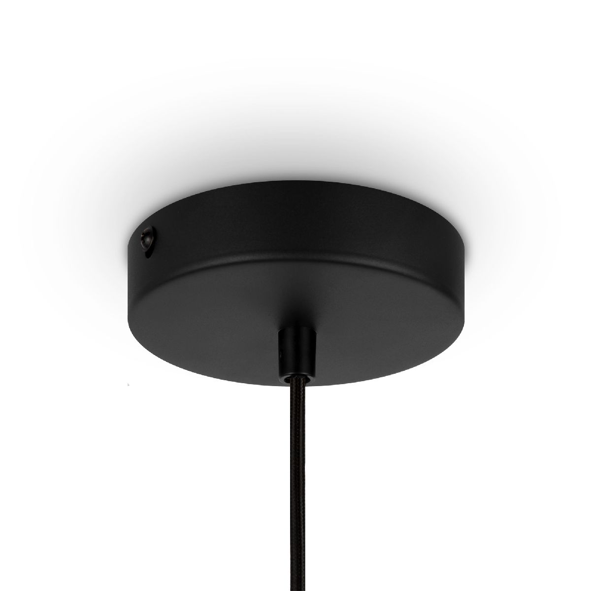 Подвесной светильник Maytoni Roots MOD193PL-01W