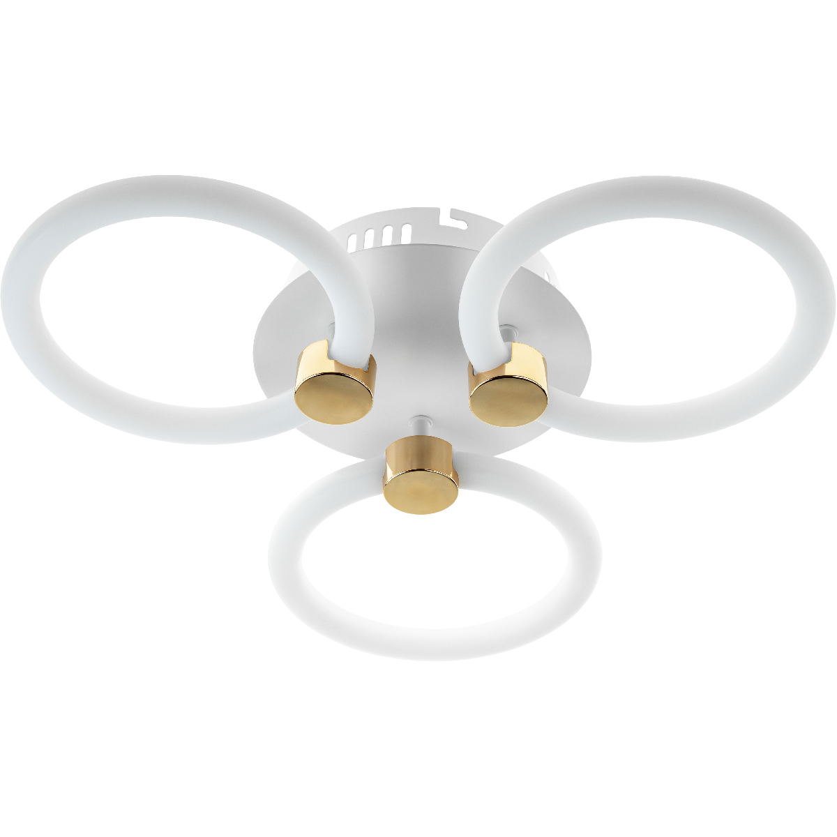 Потолочная люстра Ritter Ottimo 51611 2