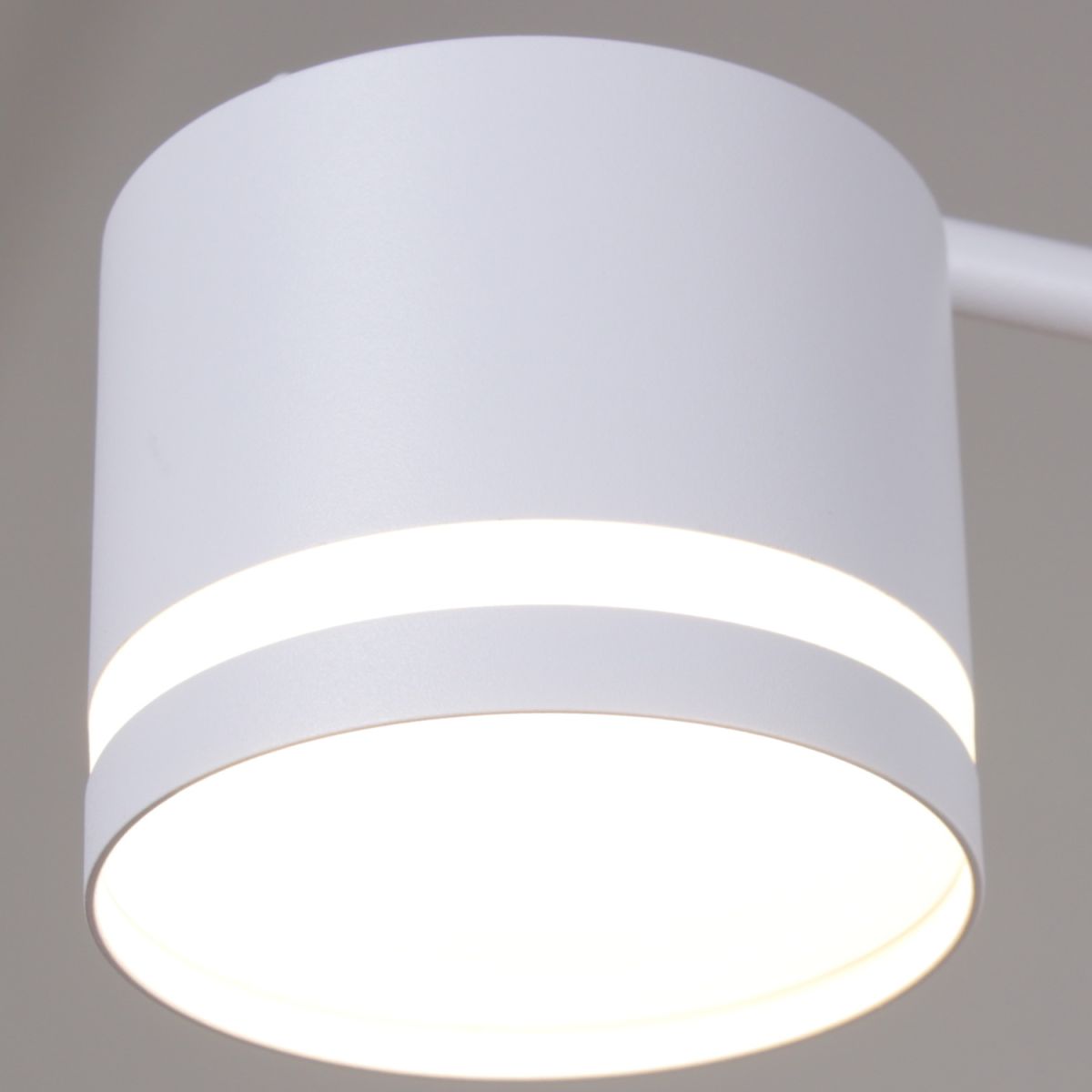 Потолочная люстра Reluce 77730-0.3-06 GX53 WT