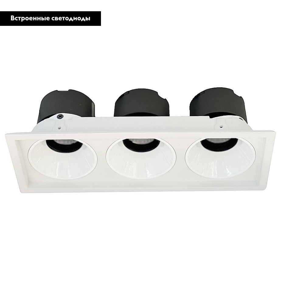 Встраиваемый светильник Wertmark Dorsum WTD.O21.000.30.30