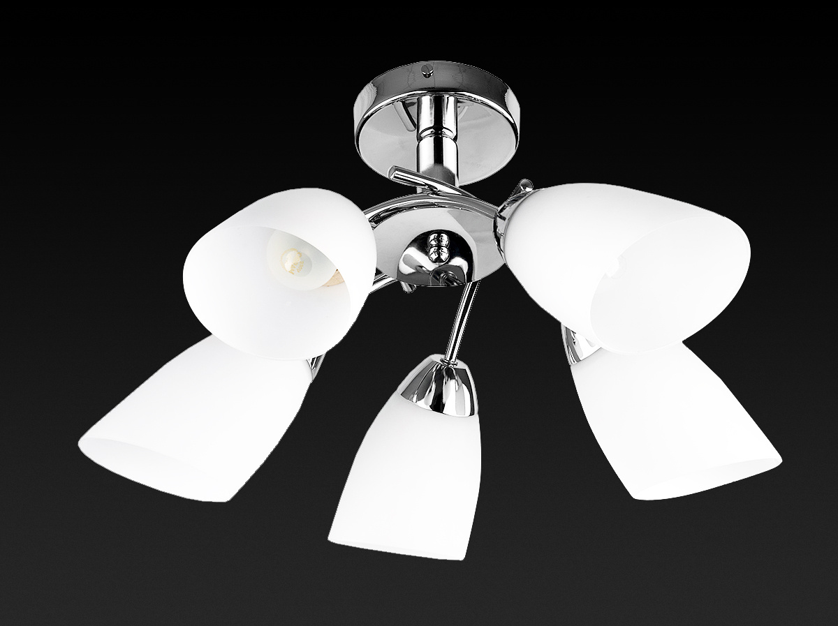 Потолочная люстра Toplight Carmel TL3600X-05CH