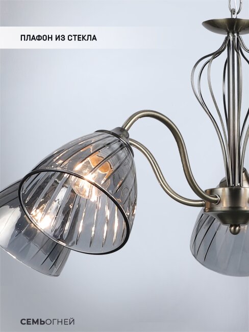 Подвесная люстра Wedo Light Savena WD3625/5H-AB-SMK