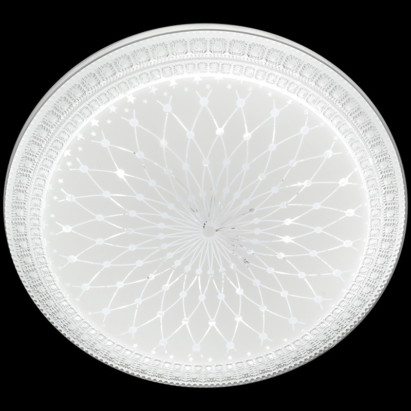 Потолочный светильник Reluce 03638-9.2-60W*2B