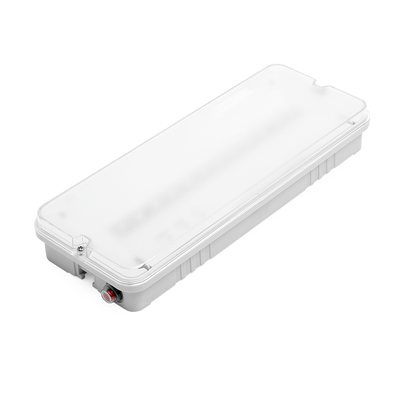 Аварийный светильник с БАП EM3 WOLTA PRO Ориентир Мини ДБО03-3-051-6К