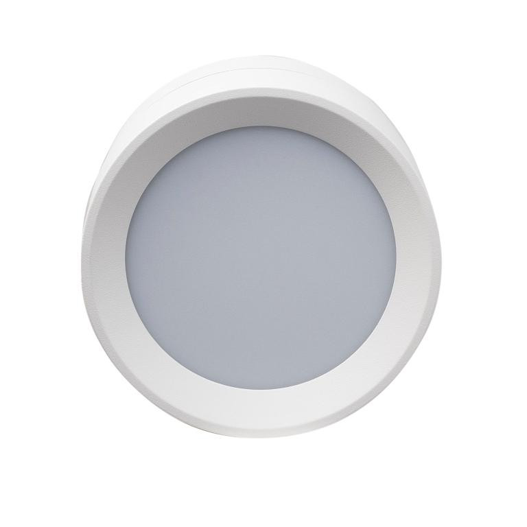 Влагозащищенный светильник LeDron BARREL MINI White 00000013797