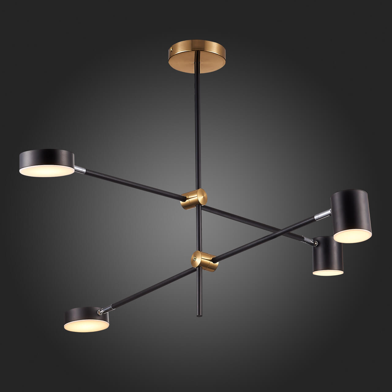 Люстра на штанге ST Luce Rodrigo SL1604.432.04