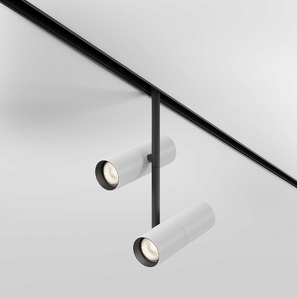 Трековый магнитный светильник Maytoni Elti Duo TR005-2-2X12W3K-BW