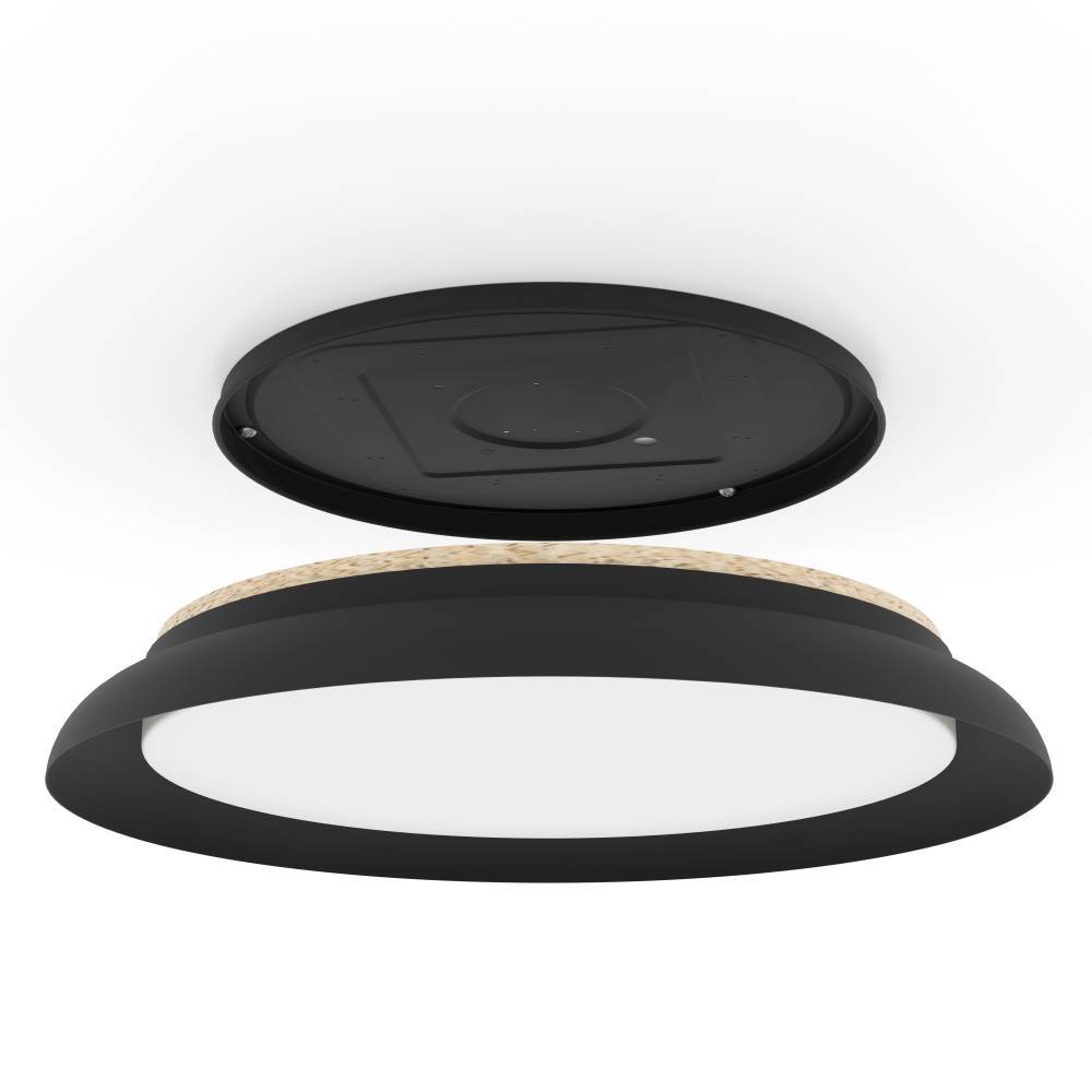 Потолочный светильник Eglo Penjamo 1 900857