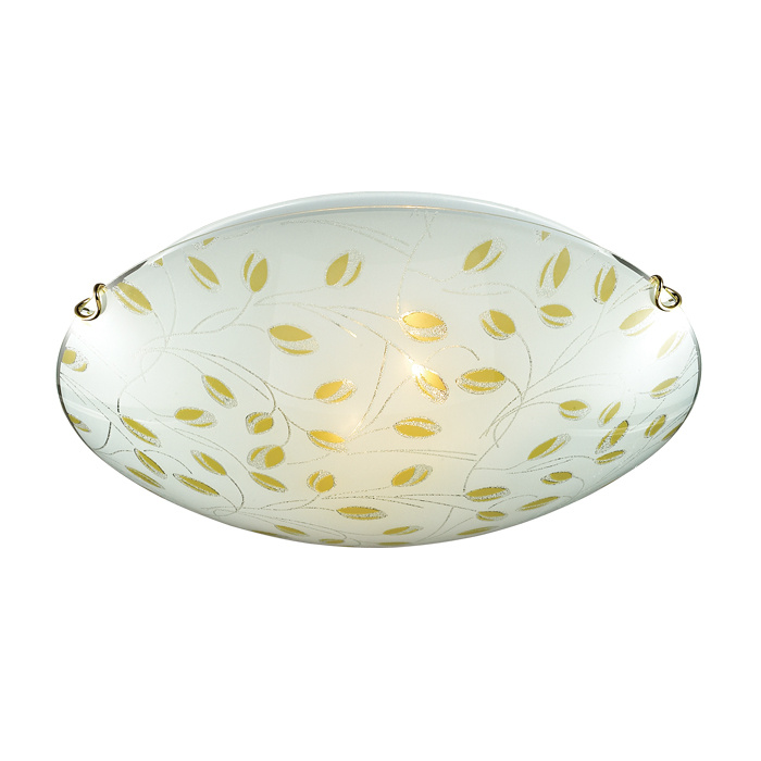 Потолочный светильник Sonex Etra 223