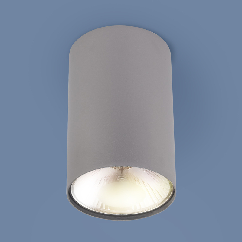 Накладной светильник Elektrostandard 6877 SL серебро 5903139687799