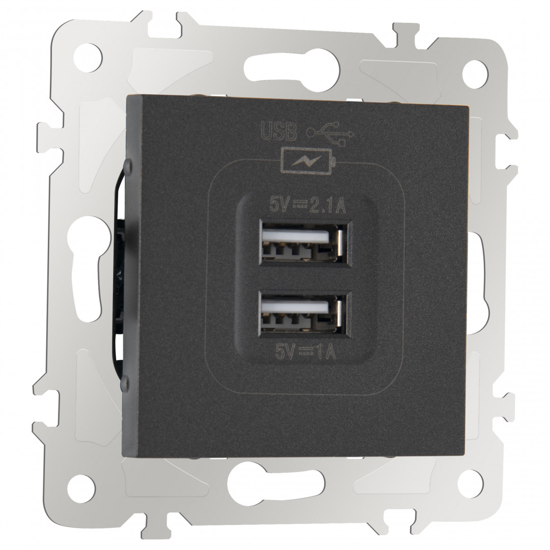 Розетка USB 2.1А+1А Arte Milano 203.46-1.black