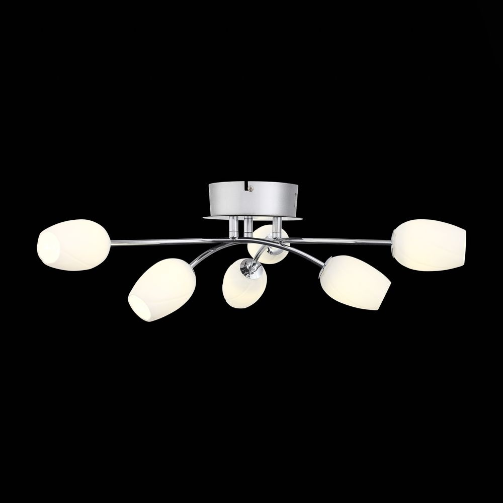 Потолочная светодиодная люстра ST Luce Luna SL478.102.06