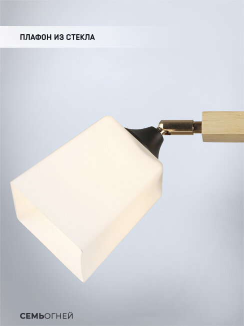 Потолочная люстра Wedo Light Lion WD3508/2C-BK-WT