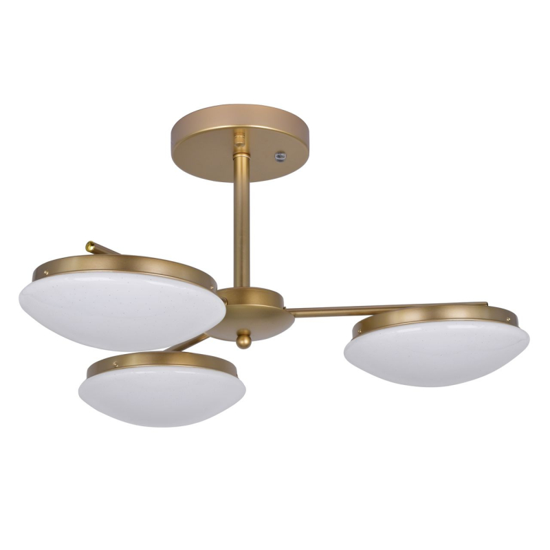 Потолочная светодиодная люстра F-Promo Ledante 2476-3P